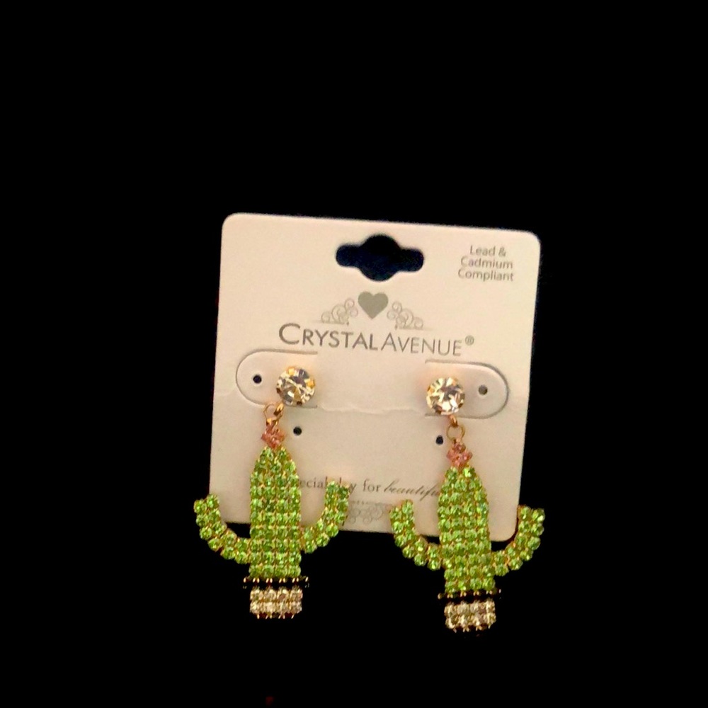 Crystal Avenue Cactus in Pot Fun post Earrings! 🌵
